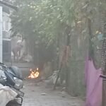कानपुर नगर वार्ड 29 पार्षद श्री जितेन कुमार चौरसिया जी के क्षेत्र में वार्ड 29 के सफाई नायक के कर्मचारियों की लापरवाही स्वच्छ भारत अभियान