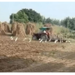 #भरतपुर #बयाना में एक ही परिवार के दो पक्षों में खूनी संघर्ष,