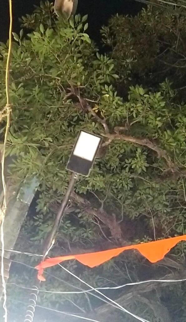 फूलपुर गल्ला मंडी में नवरात्र के दौरान नहीं हुई लाइट की व्यवस्था, पंडाल संचालकों ने खुद किया इंतजाम 1 फूलपुर गल्ला मंडी में नवरात्र के दौरान नहीं हुई लाइट की व्यवस्था, पंडाल संचालकों ने खुद किया इंतजाम - AZAMGARH, उत्तर प्रदेश