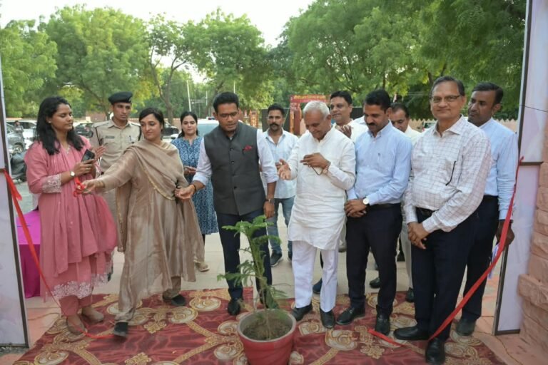 जिला कलक्टर श्री आलोक रंजन ने क्राफ्ट बाजार का किया अवलोकन, शिल्पकारों से किया संवाद